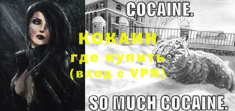 COCAIN Колумбийский  где найти наркотики  Торопец 